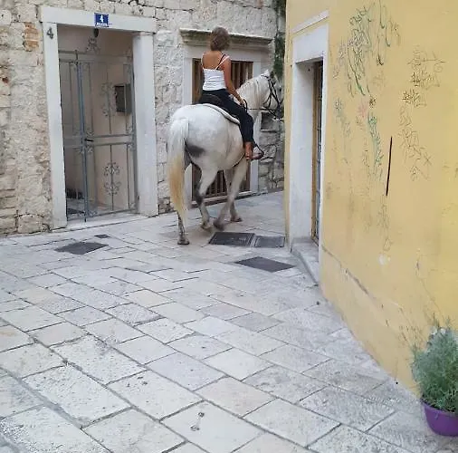 Room-ivann Vandrerhjem Split