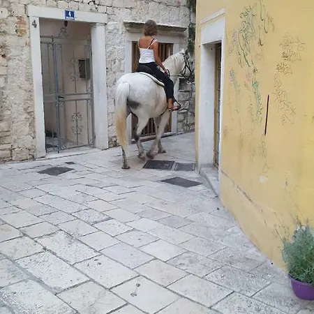 Room-ivann بيت شباب سبليت